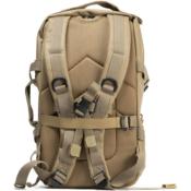 BAROUDEUR CVS OLIVE